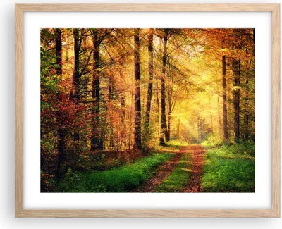 Produktbild von Gerahmtes Poster - Rahmen in heller Eiche - Wald Baum Natur - 50x40 cm - Wand Bild - Wanddeko - Wandbilder - Kunstposter - Wandposter - Bilderrahmen - Bilder - Kunstdruck - Wandbild - P2NAA50x40-3718