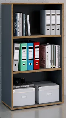 Produktbild von VCM Holzregal stehend | platzsparender Aktenschrank | Maße ca. H. 110 x B. 60 x T. 33 cm | Elegantes Regal | Büroregal – Salia 3fach B. 60 cm