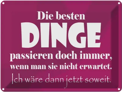 Produktbild von vianmo Blechschild 30x40 cm Die besten Dinge Spruch Zitat