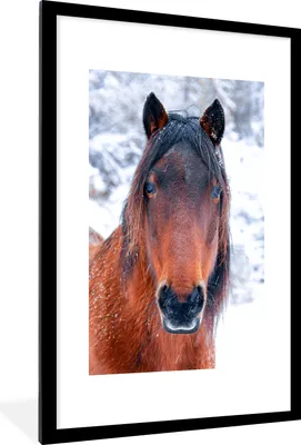 Produktbild von MuchoWow® MuchoWow® Gerahmtes Poster Pferd - Winter - Schneeflocke 60x90 cm - Poster mit zchwarzem Bilderrahmen - Dekoration - Wandposter Wohnzimmer - Hochwertig