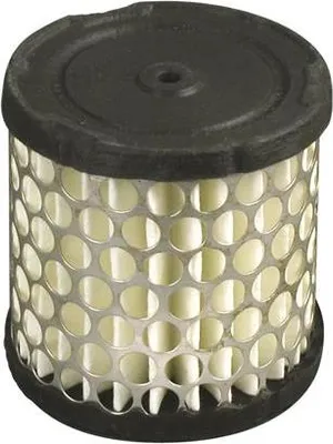 Produktbild von Briggs & Stratton 2-5kM horizontal +vertikal Luftfilter (396424)