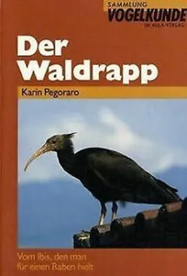 Obrázok produktu pre Der kleine Waschbär fragt nach Gott - ein Bilderbuch für Kinder ab 2 Jahren