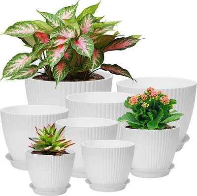 Image de Ensemble Unyqoos® – 8 pots en plastique blanc avec trous de drainage et soucoupes, diamètre de 10,2 à 19,1 cm, pour intérieur et extérieur