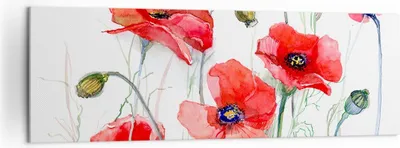 Produktbild von Bild auf Leinwand - Leinwandbild - Blume Mohn Wiese - 160x50cm - Wand Bild - Wanddeko - Wandbilder - Leinwanddruck - Bilder - Kunstdruck - Wanddekoration - Leinwand bilder - Wandkunst - AB160x50-3584