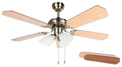 Produktbild von Orbegozo CT 23105, Gold, Zimmerdecke, 55 W, 230 V/50 Hz