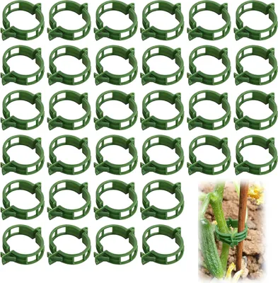 Imagen del producto de Clips de plástico para plantas, 200 unidades, color verde, para tomates y pepinos