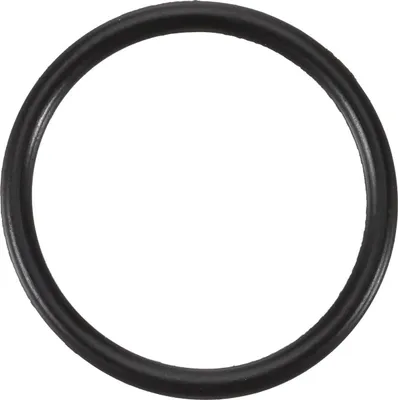 Immagine prodotto di SW acciaio S3278-9 O-ring 15,5x1,5