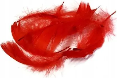 Obrázek produktu pro Červená peříčka 10–12 cm, 50 kusů.