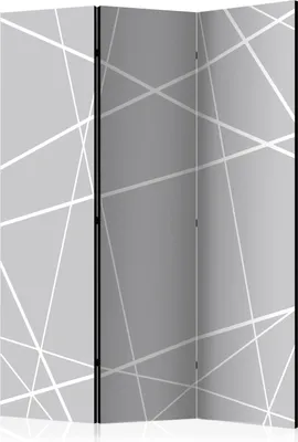 Produktbild von 3-teiliger Einseitiger Vlies Paravent - Modern Cobweb 135x172 cm Muster a-A-0222-z-b