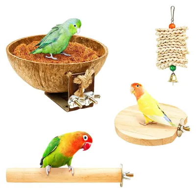 Produktbild von Vogelnest-Set Kokosnuss mit Sitzstangen und Kauspielzeug für Wellensittiche und Nymphensittiche