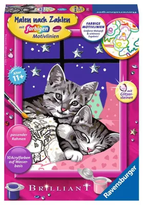 Obrázek produktu pro Ravensburger 4049817654941, 11 rok/roky, Chlapec/děvče, Více, 1 kusů, 220 mm, 160 mm