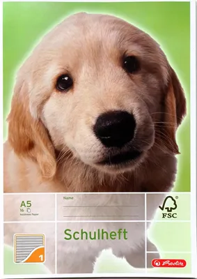 Produktbild von Herlitz 3320108, Mehrfarbig, 16 Blätter, A5, 80 g/m², Junge/Mädchen, Papier