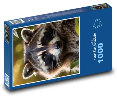Obrázok produktu pre Puzzle 1000 Zvedavý medvedík čistotný v lese - martinpuzzle