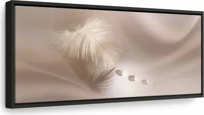 Produktbild von Italienischer Leinwand Leinwandbild - Delicate Feather 90x30 cm Abstrakt b-C-0160-b-a