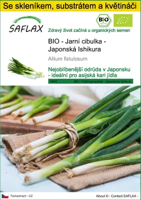 Obrázek produktu pro SAFLAX Kultivační sada - BIO - Jarní cibulka - Japonská Ishikura - Allium fistulosum - 150 Semena - S mini skleníkem, pěstebním substrátem a 2 květináči