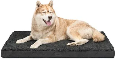 Immagine prodotto di Cuccia ortopedica per cani - 112 x 81 x 8 cm - Robusta e morbida in peluche - Rivestimenti sfoderabili e lavabili - Idrorepellente - Adatta a cani di piccola e grande taglia e gatti - Nera, robusta, in peluche, sfoderabile