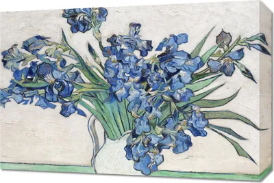 Immagine prodotto di Quadro 60x40cm Irises 2, Van Gogh Vintage per il salotto
