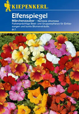 Produktbild von Kiepenkerl Elfenspiegelsamen Märchenzauber