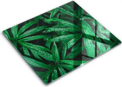 Produktbild von Glasschneideplatte - Herdabdeckplatte - 60x52 - Schneidebrett - Spritzschutz - Pflanzenblätter