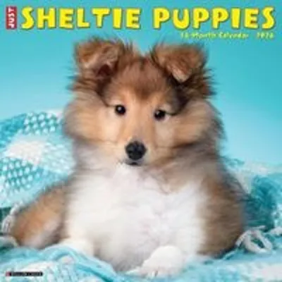 Immagine prodotto di Cuccioli di Sheltie 2026 Calendario da parete 12 X 12