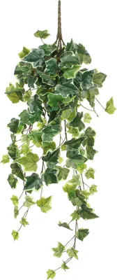 Zdjęcie produktu dla Sztuczna roślina wisząca Mica Decorations Ivy - H71 cm - Zielona, kolorowa