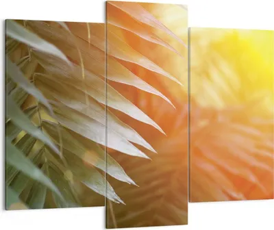 Produktbild von Bild auf Leinwand - Leinwandbild - 3 Teile - Exotisch Blätter Dämmerung - 130x100cm - Wand Bild - Wanddeko - Wandbilder - Leinwanddruck - Bilder - Wanddekoration - Leinwand bilder - CB130x100-4807
