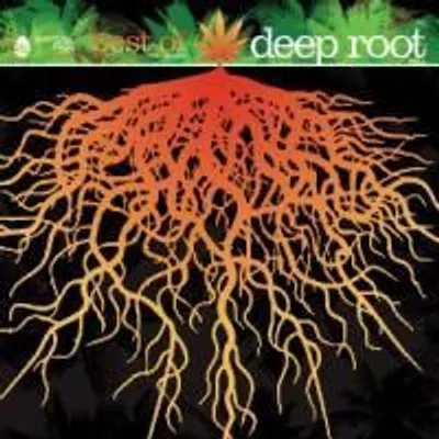 Produktbild von Various-The Best Of Deep Root