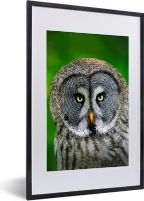 Produktbild von MuchoWow® Gerahmtes Poster Vogel - Eule - Tiere - Braun - Porträt 40x60 cm - Poster mit Schwarzem Bilderrahmen Wandposter Rahmen Foto Bilder - Poster in Rahmen