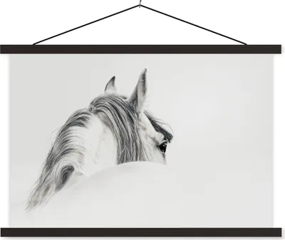 Produktbild von MuchoWow® Textilposter Pferd - Weiß - Grau 90x60 cm mit schwarzem Rahmen - Aufhängungssatz