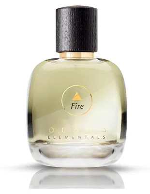 Immagine prodotto di Elementals Fire EdP 100 ml