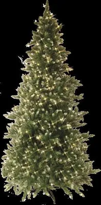 Produktbild von Best Season LED-Weihnachtsbaum "Vancouver" beleuchtet ca. 225cm, 550 warm white LED, grün, mit Trafo, 608-60