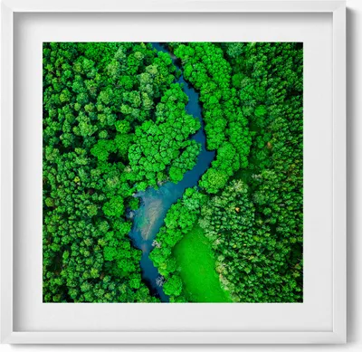 Produktbild von Fluss im Wald– Wandbild mit Rahmen – Gerahmtes Bild  – Wanddekoration – 50x50 cm –  Weiß Rahmen