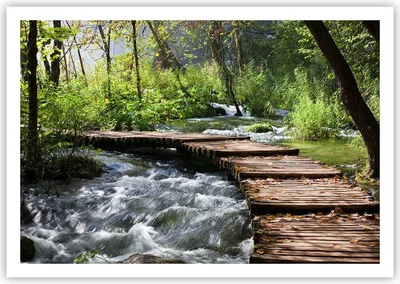 Produktbild von Poster - Poster ohne Rahmen - Park natur grün bäume - 100x70 cm - Wand Bild - Wanddeko - Wandbilder - Kunstposter - Wandposter - Bilder - Kunstdruck - Wanddekoration - Wandbild - P2XAA100x70-0356