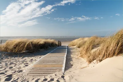 Produktbild von Wallario selbstklebendes Poster - Auf dem Holzweg zum Strand, Größe: 61 x 91,50 cm
