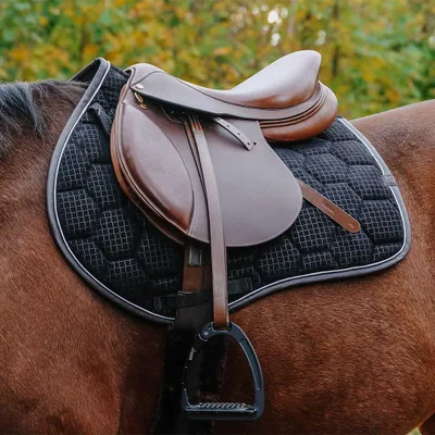 Produktbild von Equithème Schabracke Quadri, Größe:Warmblut, Farbe:schwarz