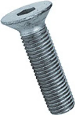Produktbild von Schraube DIN 7991 10.9 M6 x 10 ZB - Packung mit 500 Stück