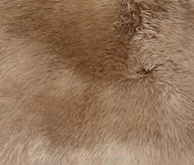 Produktbild von Heitmann Felle Sitzauflage aus Lammfell Größe ca. 44 x 44 cm, Farbe: Camel 407CA