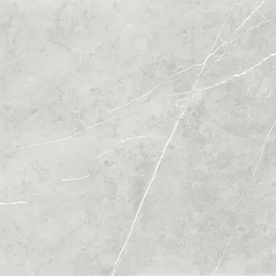 Produktbild von Bodenfliese Feinsteinzeug Ciana 60 x 60 cm grey