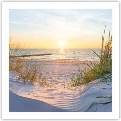Produktbild von Poster - Poster ohne Rahmen - Düne Strand Meer - 60x60 cm - Wand Bild - Wanddeko - Wandbilder - Kunstposter - Wandposter - Bilder - Kunstdruck - Wanddekoration - Wandbild - P2XAC60x60-3989
