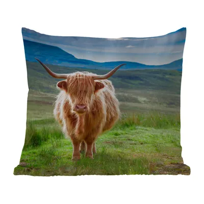 Obrázek produktu pro MuchoWow® Vnější polštář - Skotský horal - Kráva - Příroda - Hora - Tráva -60x60 cm- Odolnost proti povětrnostním vlivům - polštář do obývacího pokoje