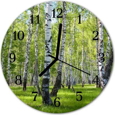 Immagine prodotto di Orologio da parete in vetro, orologio da cucina, vetro vero, 30 cm, foresta di betulle, verde e bianco