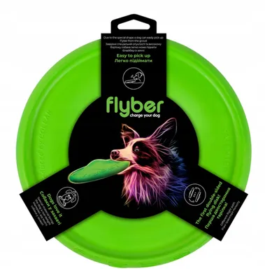 Image de Frisbee Flyber Waudog, 22 cm, vert clair