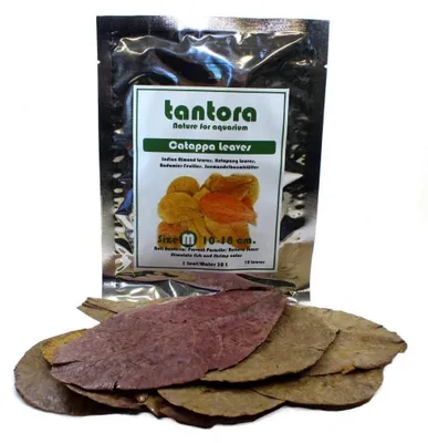 Productafbeelding van Tantora Catappa bladeren medium 13–18 cm | natuurlijk aquariumblad met tannines | 10 stuks 50 Stuks