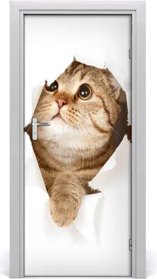Produktbild von Tulup Türaufkleber 85x205 cm Dekorative Aufkleber Selbstklebend Wasserdichte Tapete Abnehmbar Schlafzimmer Wohnzimmer Wohnkultur - Katze Wand