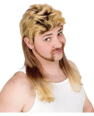 Produktbild von Blonde Herren Vokuhila Kunsthaar Perücke schulterlang für Fasching & Bad Taste Party