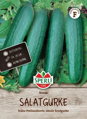 Produktbild von SPERLI Salatgurkensamen Konsa F1 Cucumis sativus 15 Pflanzen