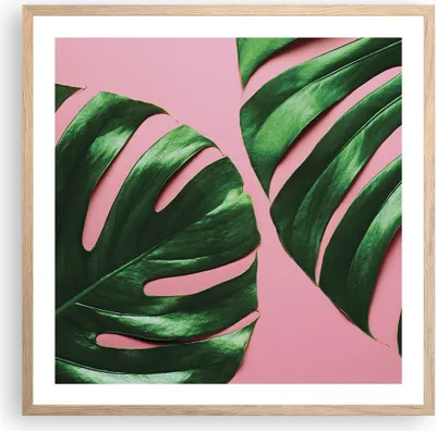 Produktbild von Gerahmtes Poster - Rahmen in heller Eiche - Monstera Blatt Rosa - 60x60 cm - Wand Bild - Wanddeko - Wandbilder - Kunstposter - Wandposter - Bilderrahmen - Bilder - Kunstdruck - P2NAC60x60-4407