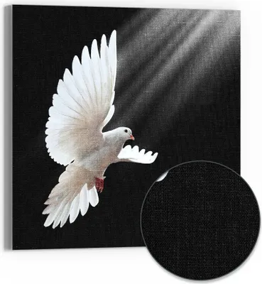 Produktbild von DEQORI Hybrid Leinwand Bild 50x50 cm 'Friedensbote' Wandbild Glas flach modern