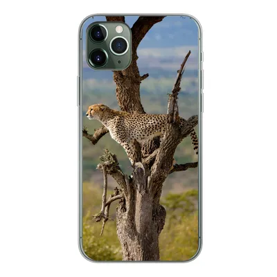Produktbild von MuchoWow® Handyhülle Schutzhülle Hülle für iPhone 11 Pro Max Leopard - Baum - Tier Silikon Softcase Handy Hülle - Schutz