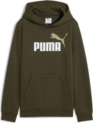 Produktbild von Puma ESS 2 Color No. 1 Logo Hoodie Junior
